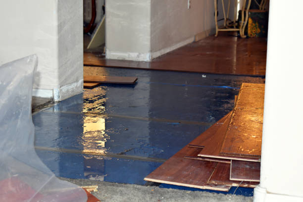 Professional Basement Flood Cleanup technician working in Lowland, NC
